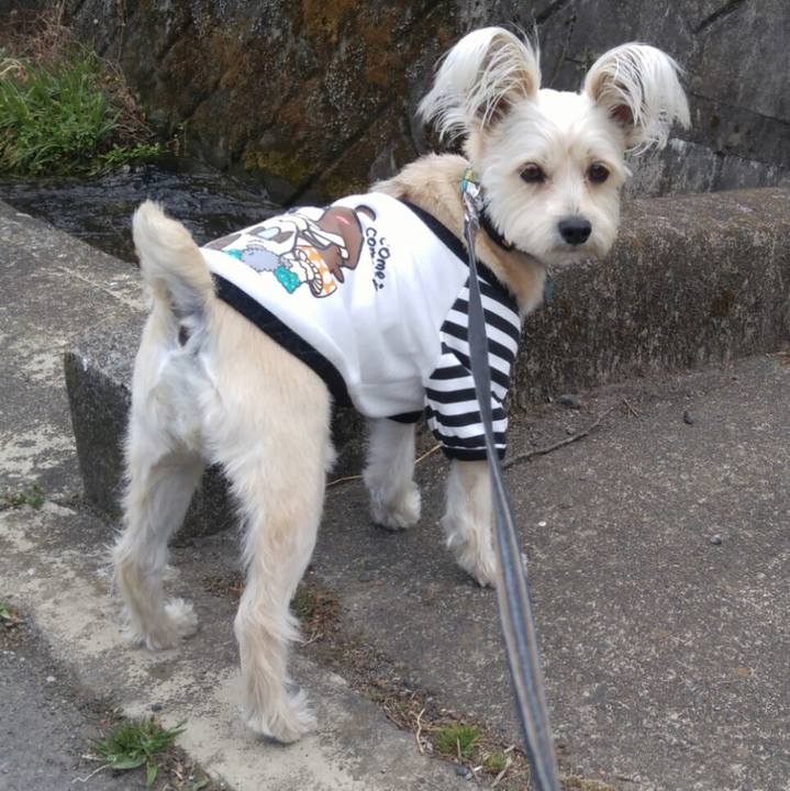 F8ddaf8d 0622 4b99 aa35 4b875fa101a9