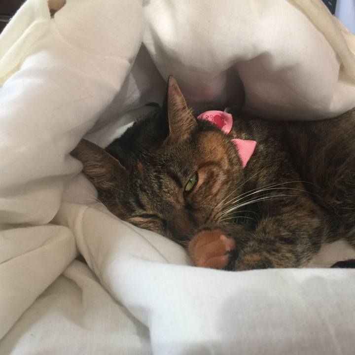 F8de0971 87e6 4448 88c0 3d2782cb2dec