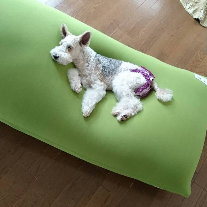 F8de13dc 0445 42bb b6f6 5544ec97ee3e