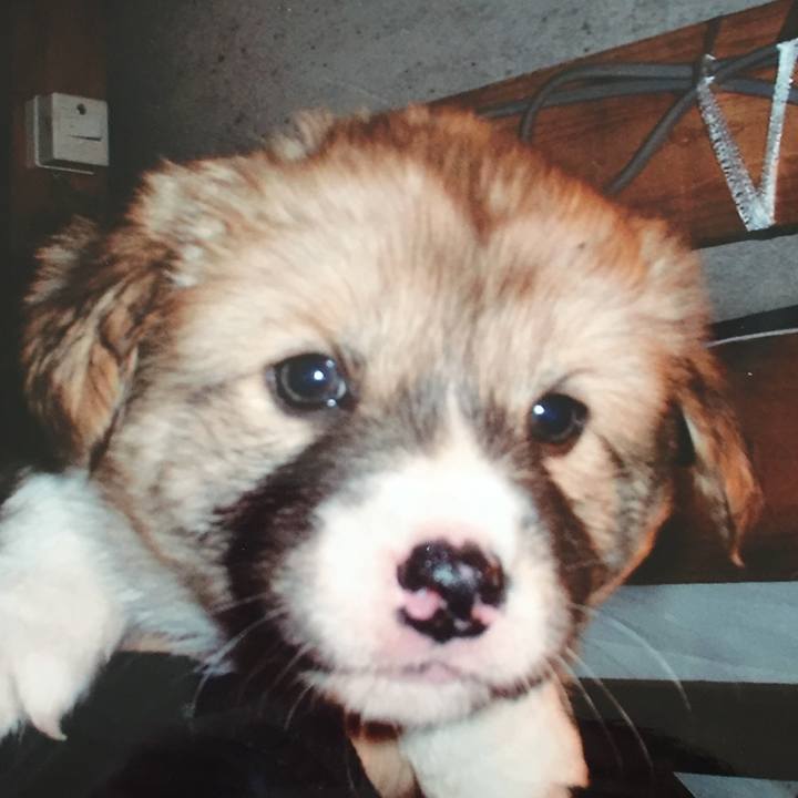 F8de87a8 cb7b 436c 9832 ac463dd26511