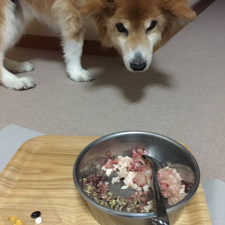 F8de98dc 8ec6 442c 9b06 5a0a42e746c6