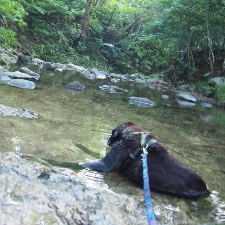 F8de9d96 4c7c 4016 99b6 4ea2eb65e653