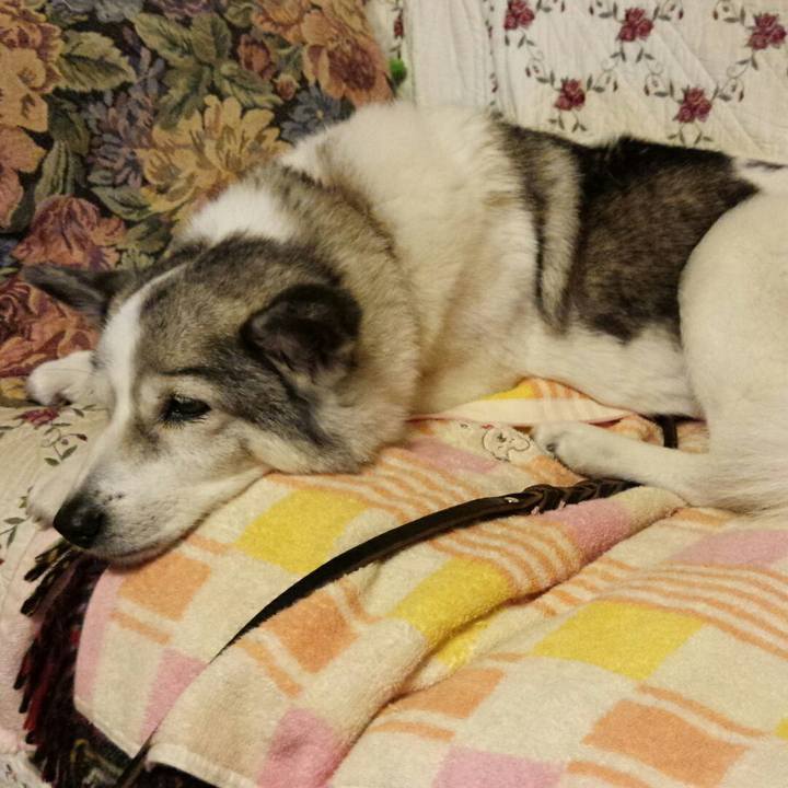 F8dffe84 9ffd 452b a3d7 b3587f5d7bb8