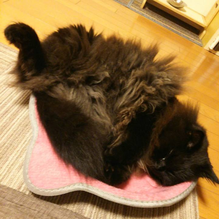 F8e07303 b109 40e1 b794 4b1f121d2e8d