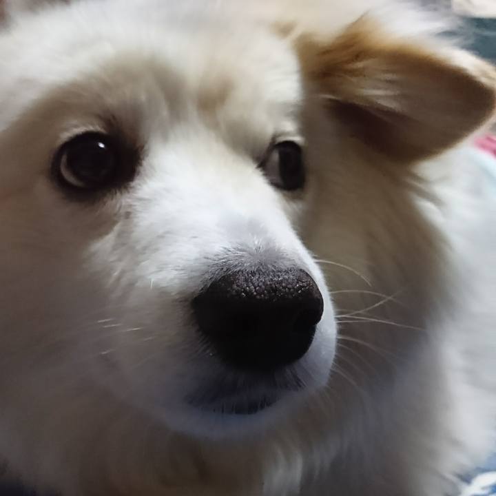 F8e0dd55 ec69 4afa 9b53 94534916bbc0