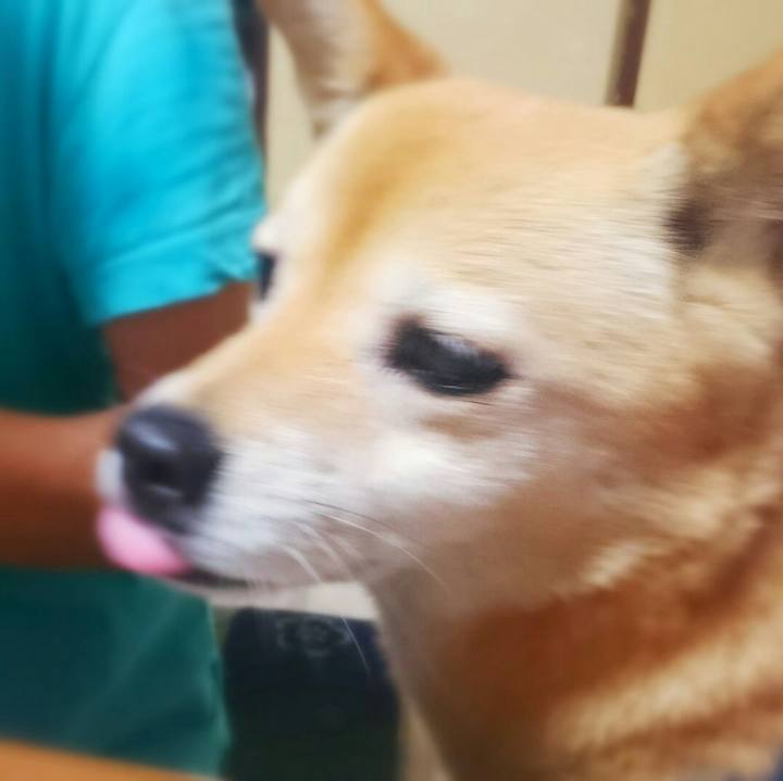 F8e1124e 2c9a 4a21 b35c 2b728a31c8df