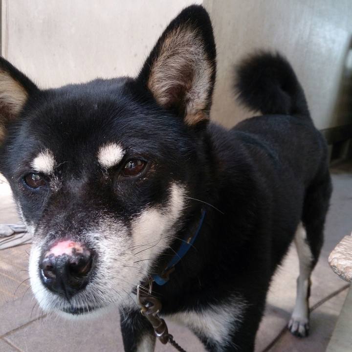 F8e15344 ef57 478f ab9d 2dab1b61c1e5