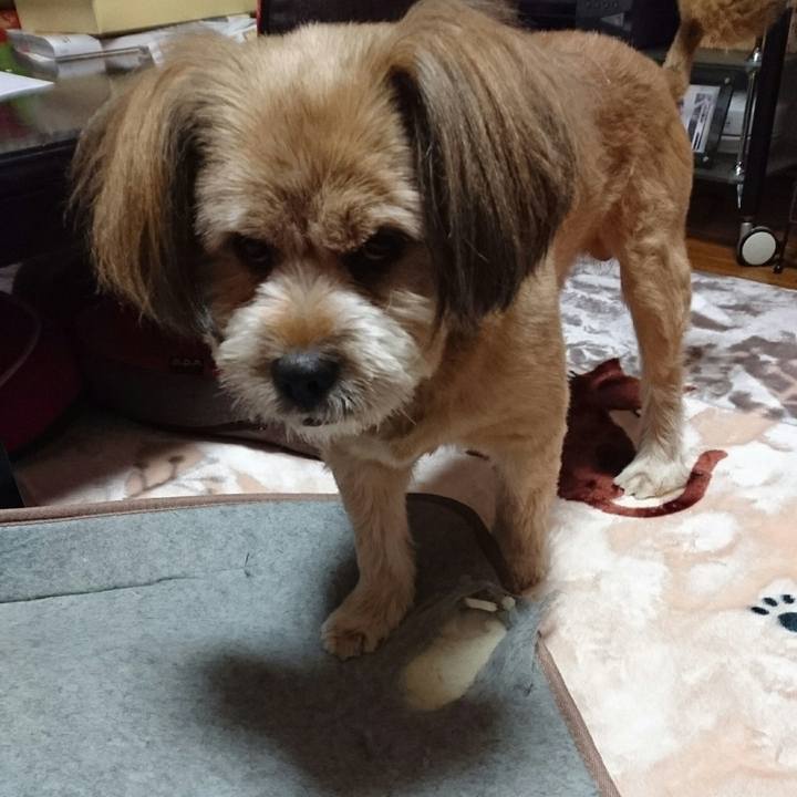 F8e15d5c 6e3a 43fb 9c14 6f1bf0027f6f