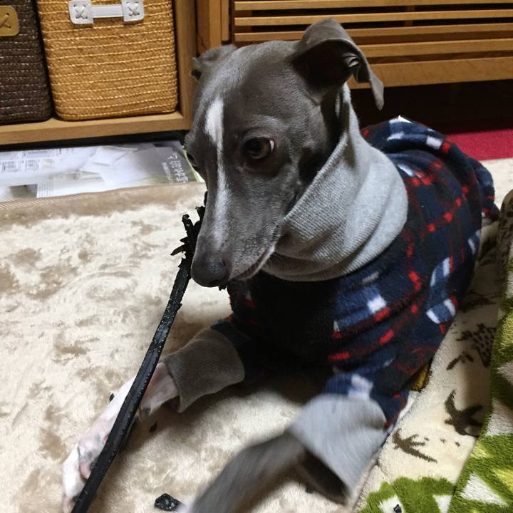 F8e17b16 5528 4302 b5f2 ddd14b2d8aae