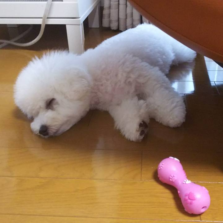 F8e2d759 6bb2 40fc 8496 3744bb8b5ed3