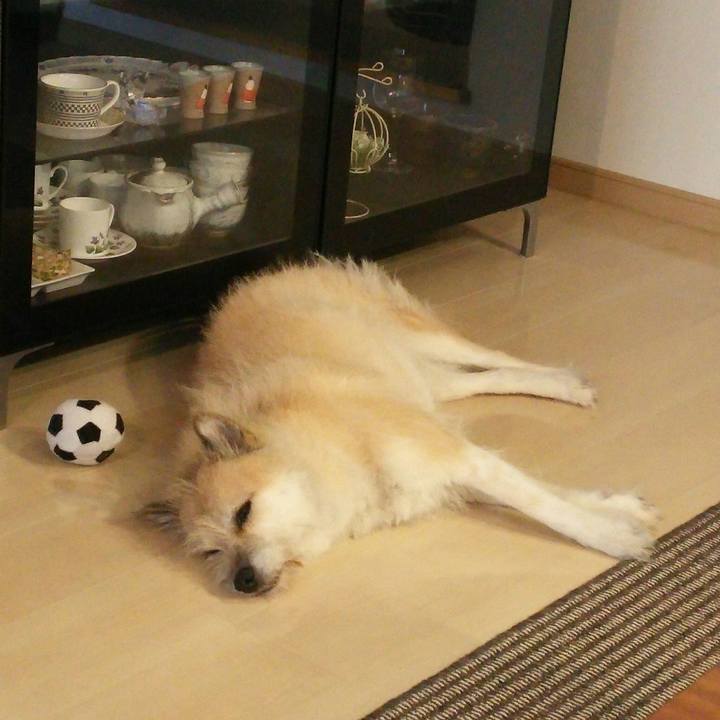 F8e2da76 f72c 42c2 bf68 2f9bbc6f780e