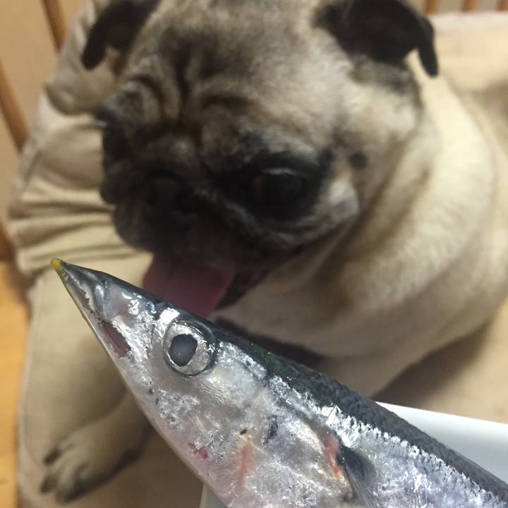 F8e3075d 6124 4d38 993e 7a6ddad8bc3b