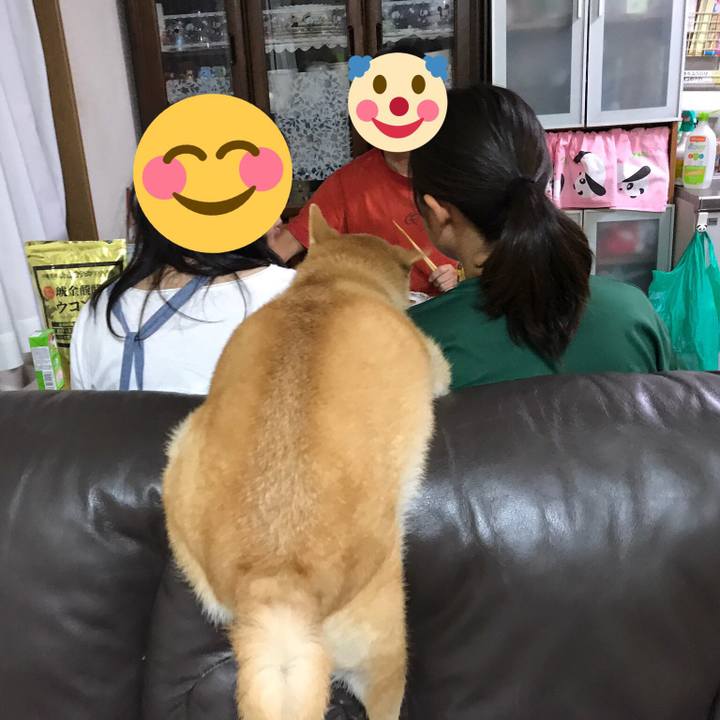 F8e31f5d a4ba 41eb 9992 9a31361d436b