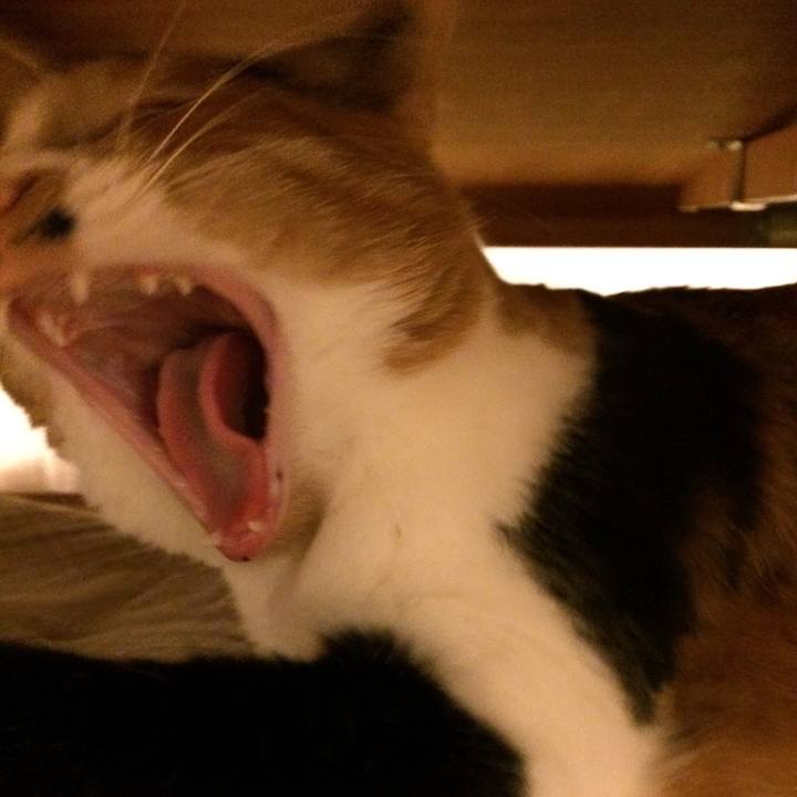 F8e3902b 9101 4aa2 8023 22ca663a4c43