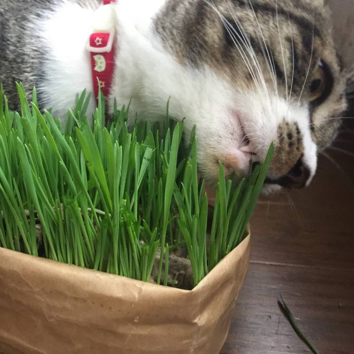 F8e3bcba af22 4ebc afde 8835a14b0d5b