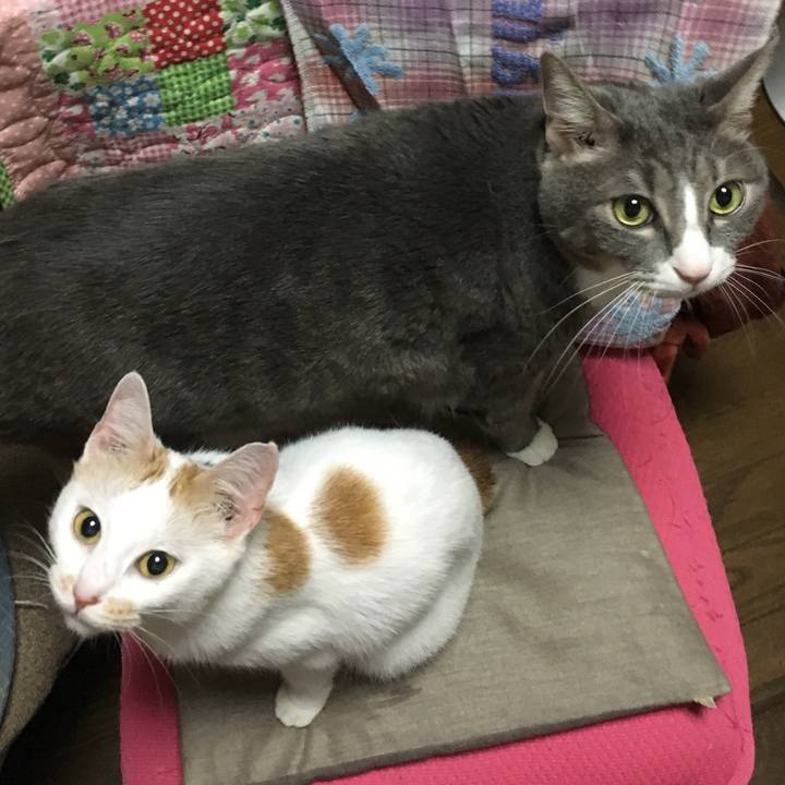 F8e43318 d728 4719 8a18 af9d7fd2711e