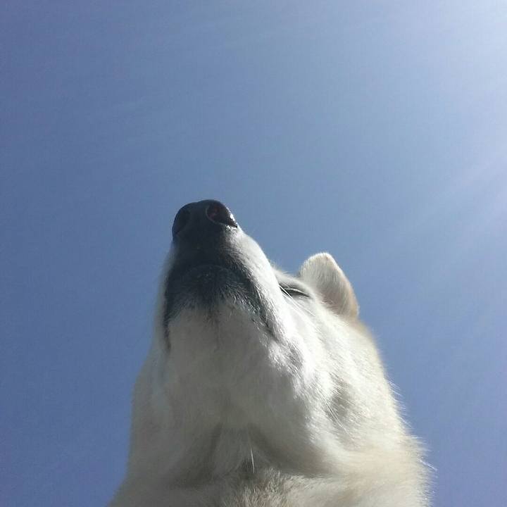 F8e448e9 a9a9 498e 9920 20c6022d78a8