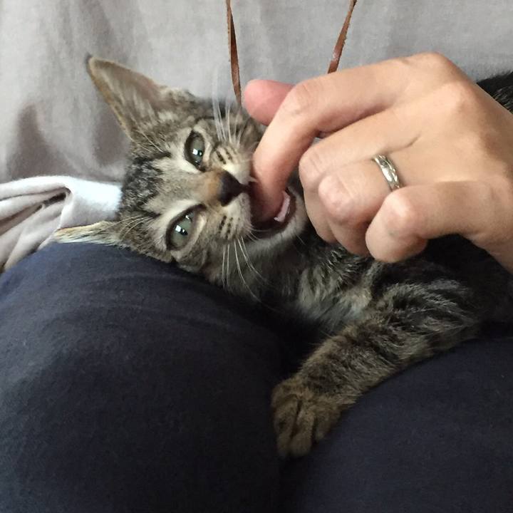 F8e477aa e064 4ae3 9069 c91b2e7ecf3c