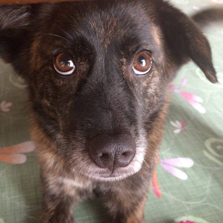 F8e49d39 a32c 4ad1 9409 ffb0d4c83dd1