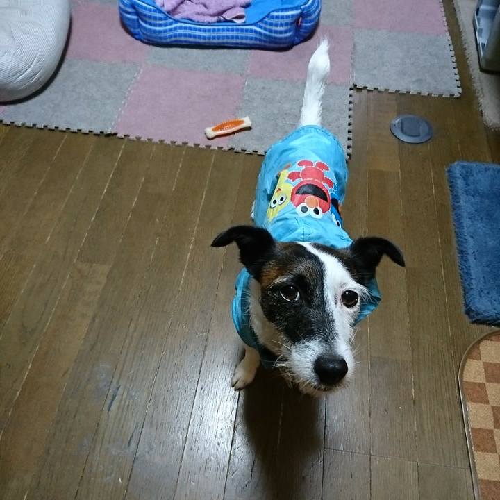 F8e4bdbd 58eb 498b 9906 458cc8a3b310