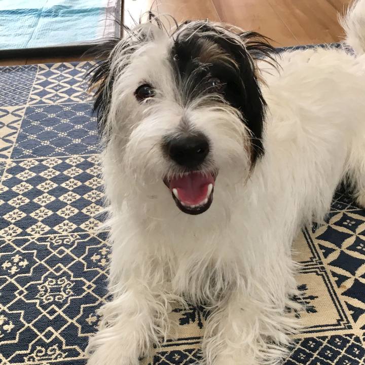 F8e62189 953b 4aa2 bd50 cc2146a3f78f