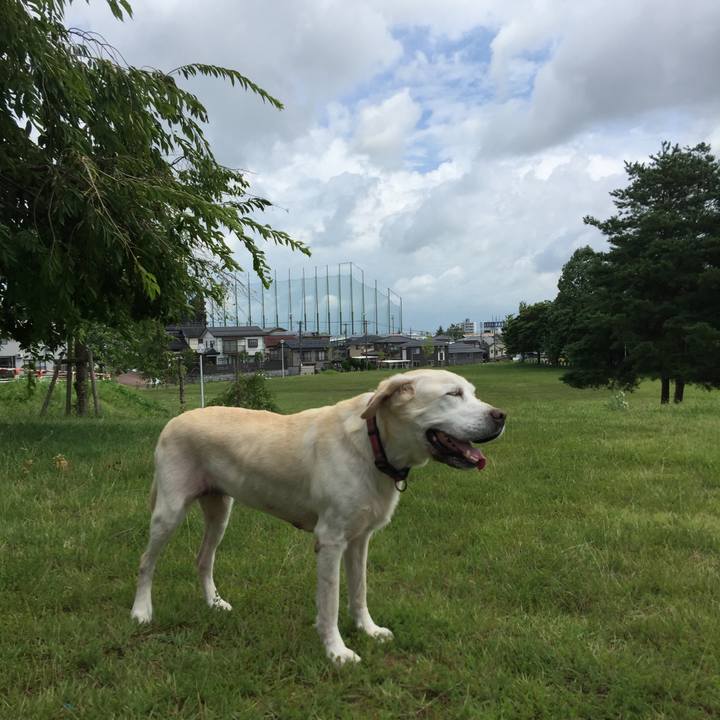 F8e67d2a 3902 4e6f 8cc6 dcd79bd2df19