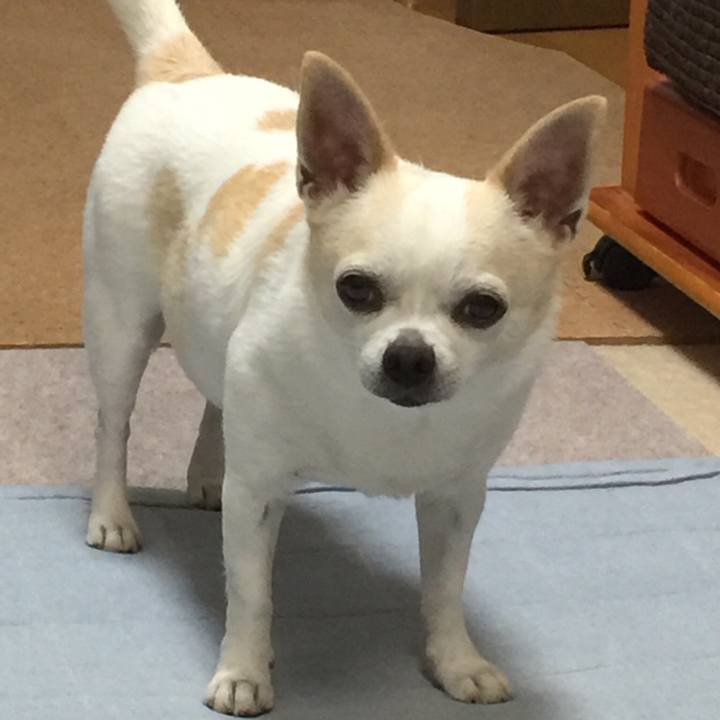 F8e683d4 7d71 4e5b 947d b348e84d2b05