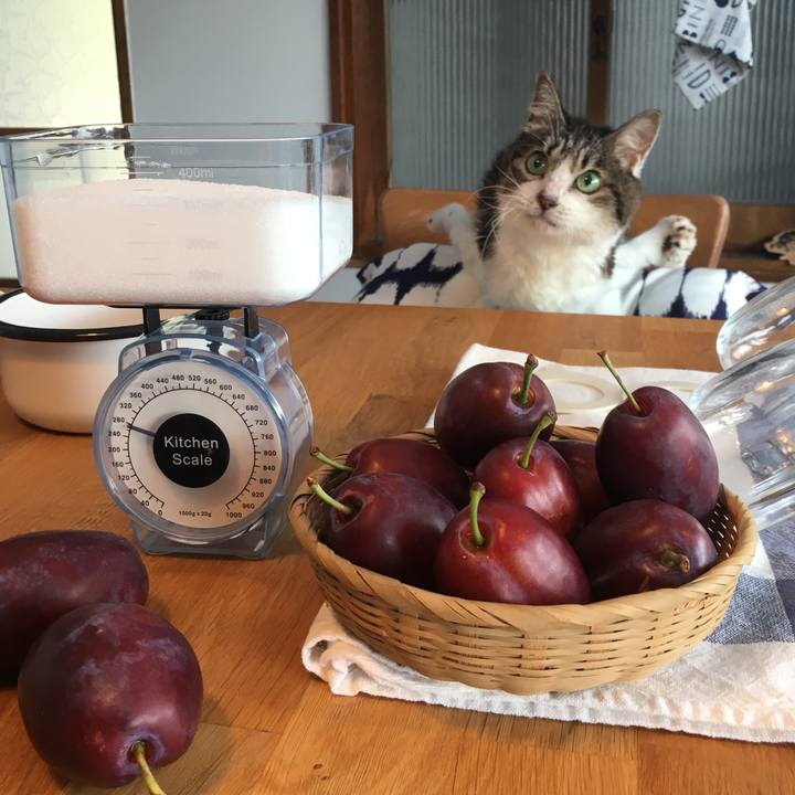 F8e696d4 b9be 412e b2e9 1c616adea09e