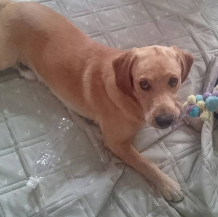 F8e6efc2 9616 4513 95ca b341849c4127