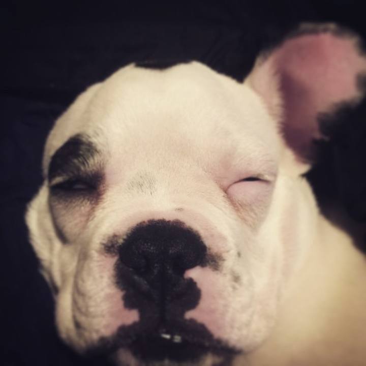 F8e6ffd1 35a2 4dcd 904f 439352fcbe18