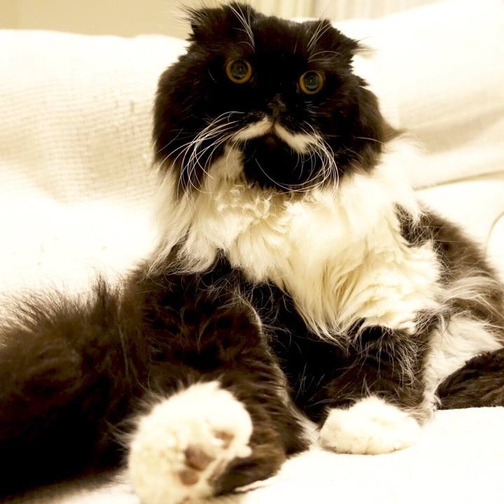 F8e8624b 96d8 42c0 bc36 d286fd3b942f