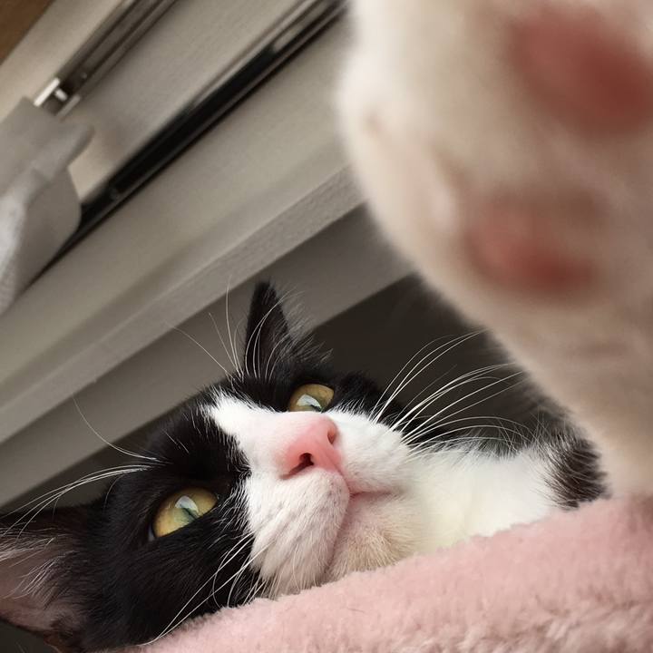 F8e8b867 fdfc 4d3e b46f ae50d367b77c