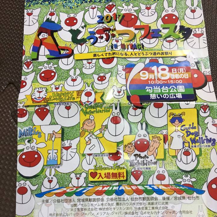 F8e8f715 49ac 402c 88d2 060e3c4d00cd