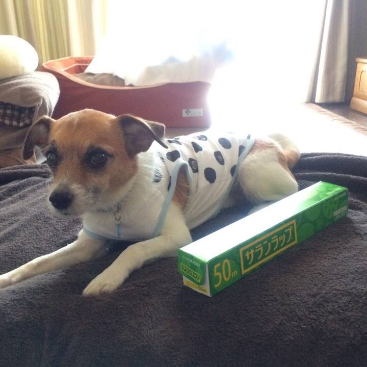 F8e98d14 e8fe 4fc6 91dc 6a88a4e509b3