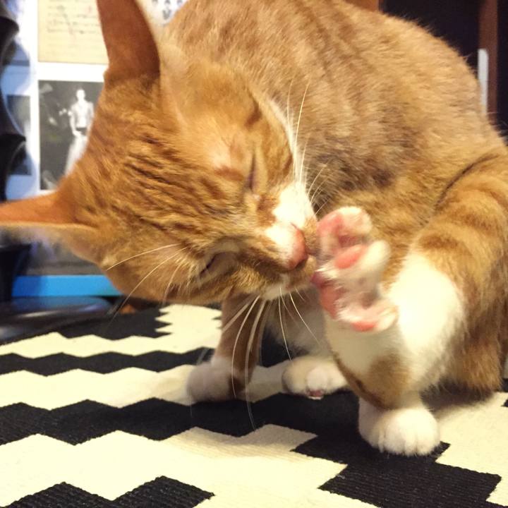 F8e9ea30 195d 4dc4 9cf1 03e78b8297d8