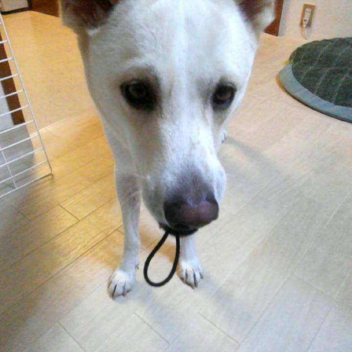 F8eb174a 88b6 4fd0 a506 2710f73c8ecd