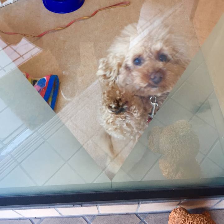 F8eb18f5 08ba 4b4e 91a7 c0e8527bb4d4