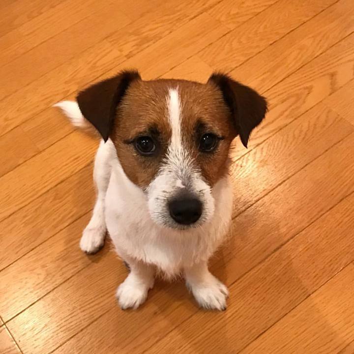 F8eb736c d8b9 4cb5 96eb 62237d4d2b5e