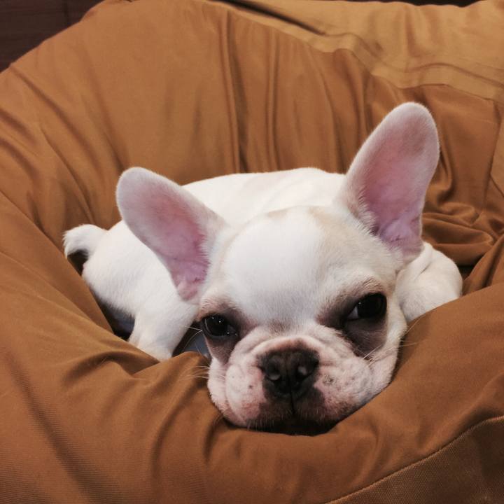 F8ec76b7 dde9 4857 99c3 14825d3fa6ee