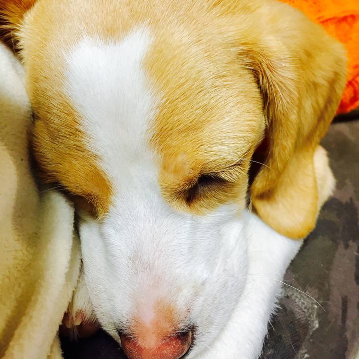 F8ec7f37 55e7 4e0d a968 3cd33a09a744