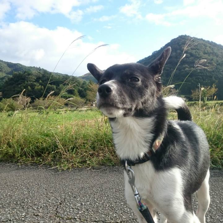 F8ecfda5 bd0d 4259 8d8b c07f5b29c4e7