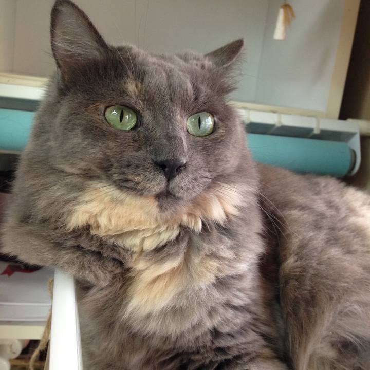 F8ecfe29 d404 4c2a 8ec7 8ba94ef059e8