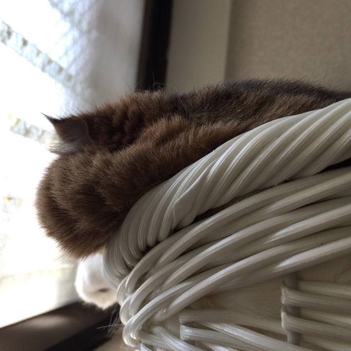 F8ed210b 1eda 4e07 8892 d9778225d515