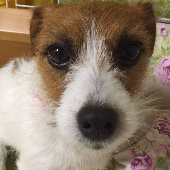 F8ed5762 4d32 4d7e 88f5 14de1ed225a8