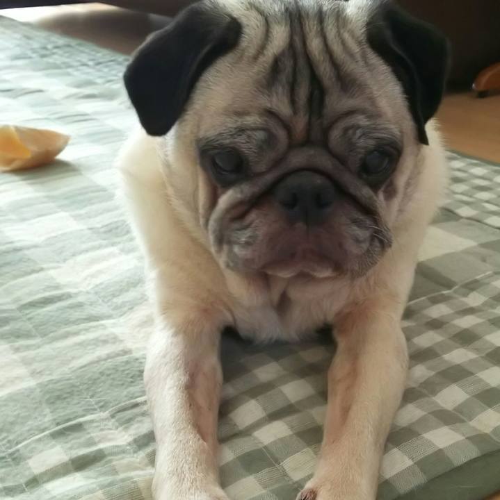 F8eecaa7 4158 47a0 a3bb 6bb9a067262c