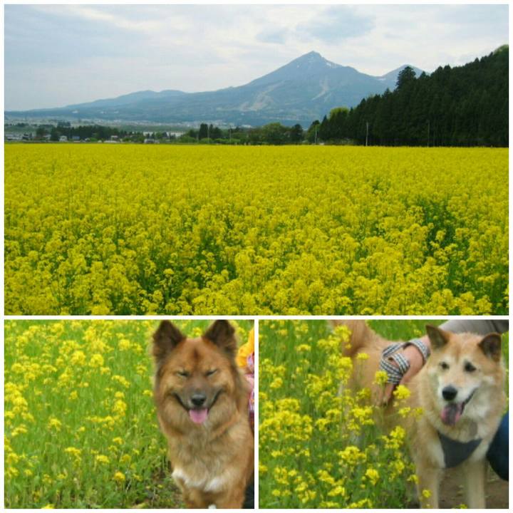 F8eef324 6e48 4169 81be 703025b98780