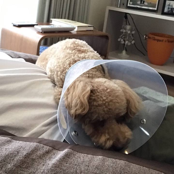 F8ef8866 0300 4c0b 9ad2 005dcfb67766