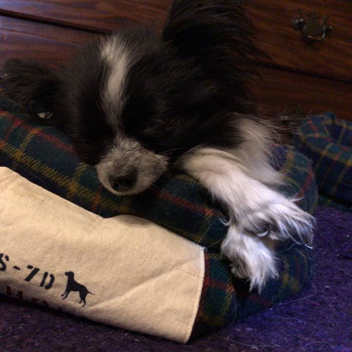 F8f064d5 8715 4acf 8181 add605b6460f