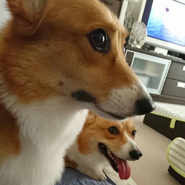 F8f0c36f a01a 45bd add1 1513a530c68d