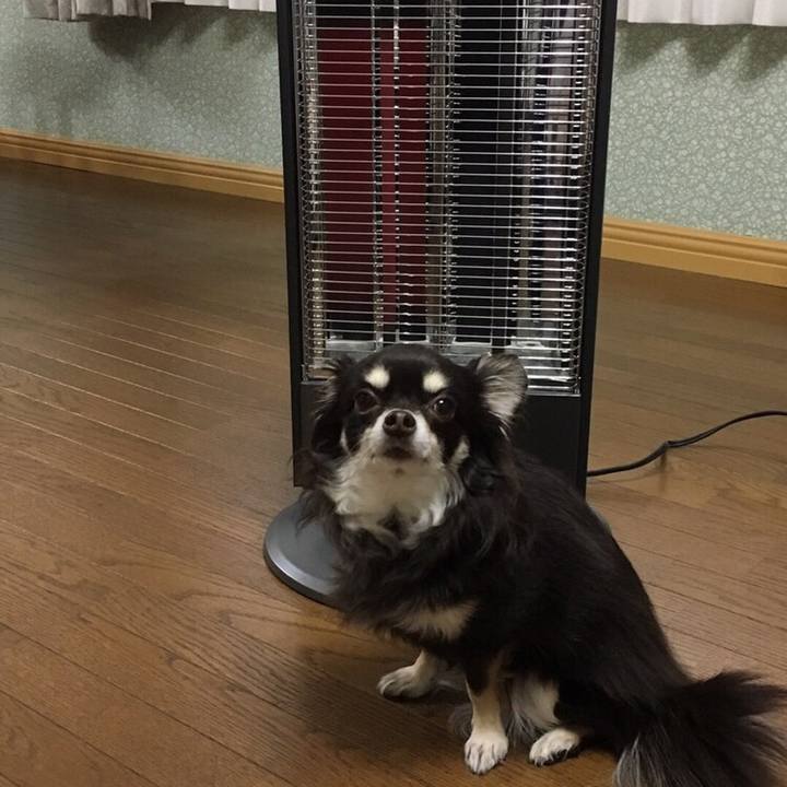 F8f0f497 1320 46e5 9403 de9b0155eea4